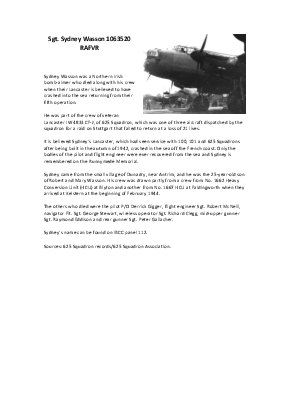 A preview of a PDF biography for Wasson, Sydney